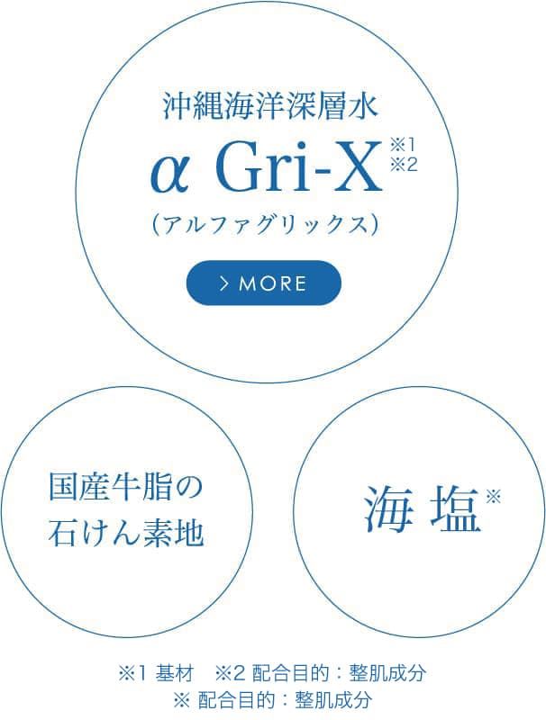α Grix（アルファグリックス）