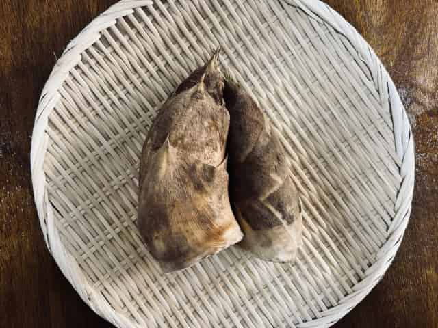 bamboo-shoot