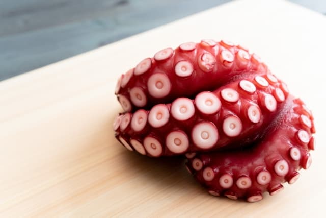octopus