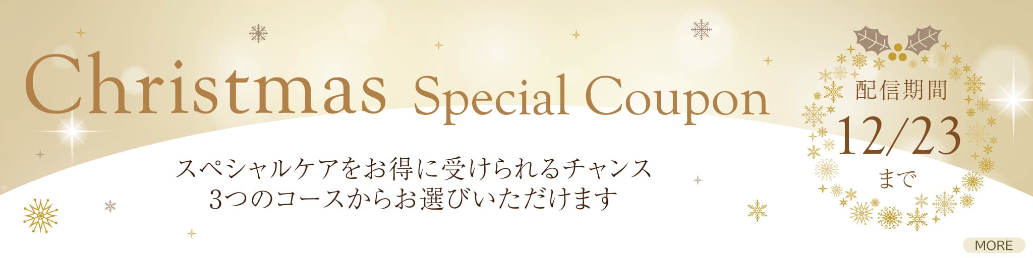 Christmas Special Coupon